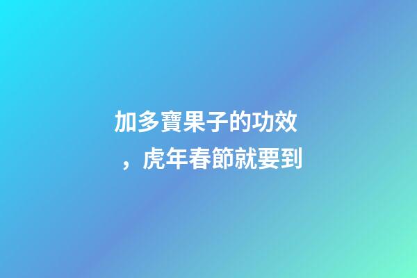 加多寶果子的功效，虎年春節就要到